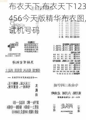 布衣天下123456今天版精華布衣圖,試機號碼,實踐調查說明_EPE50.857競技版