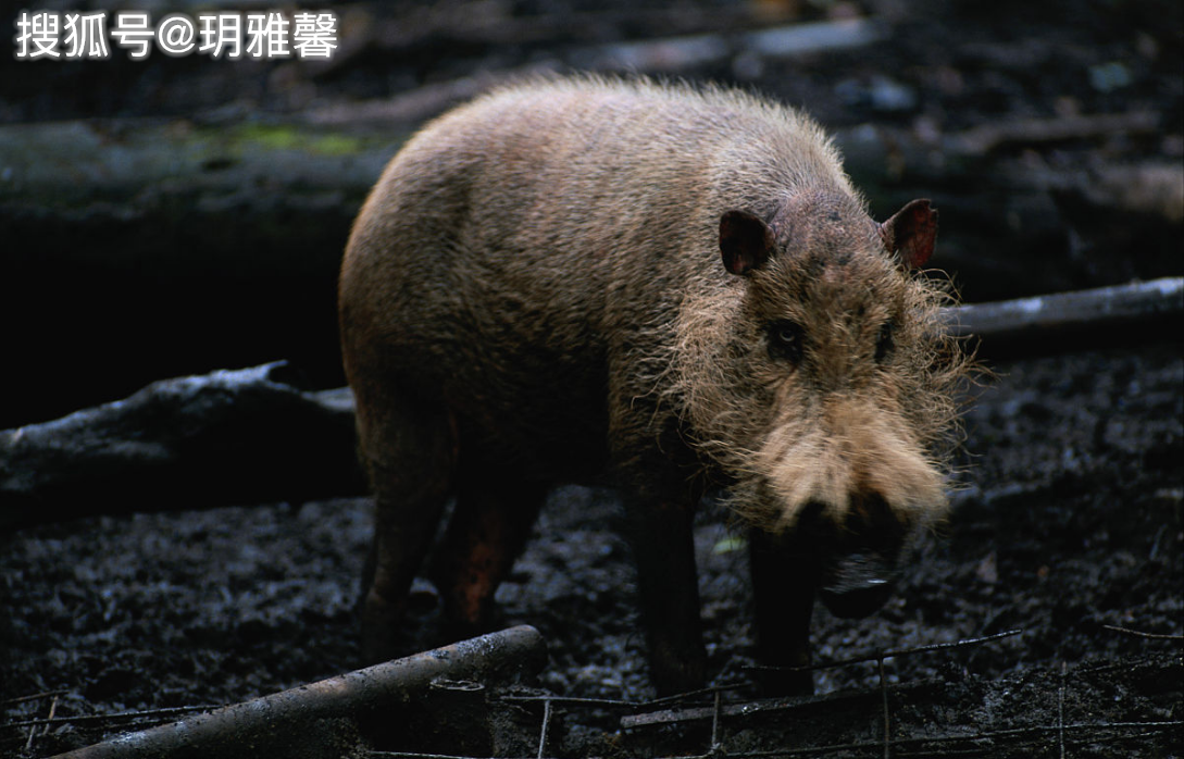 運(yùn)動(dòng)場(chǎng)館燈具 第398頁(yè)