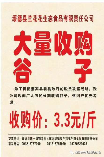 淄川最新財(cái)務(wù)招聘，職業(yè)發(fā)展的理想選擇