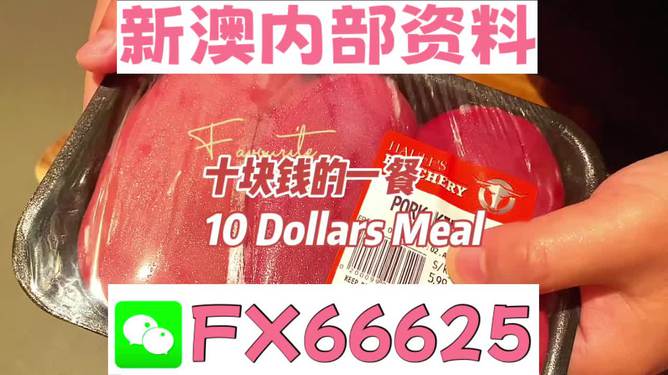 新澳精準(zhǔn)資料免費(fèi)提供221期,全面設(shè)計(jì)實(shí)施_CEU23.179生活版
