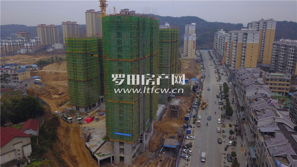 羅田最新房價揭秘，洞悉市場動態(tài)，掌握房價走勢！
