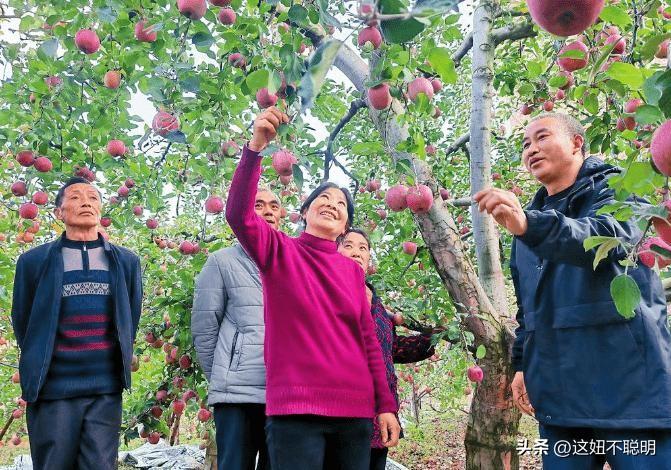 2024年最新致富項(xiàng)目，探索自然美景之旅，追尋內(nèi)心平和寧?kù)o