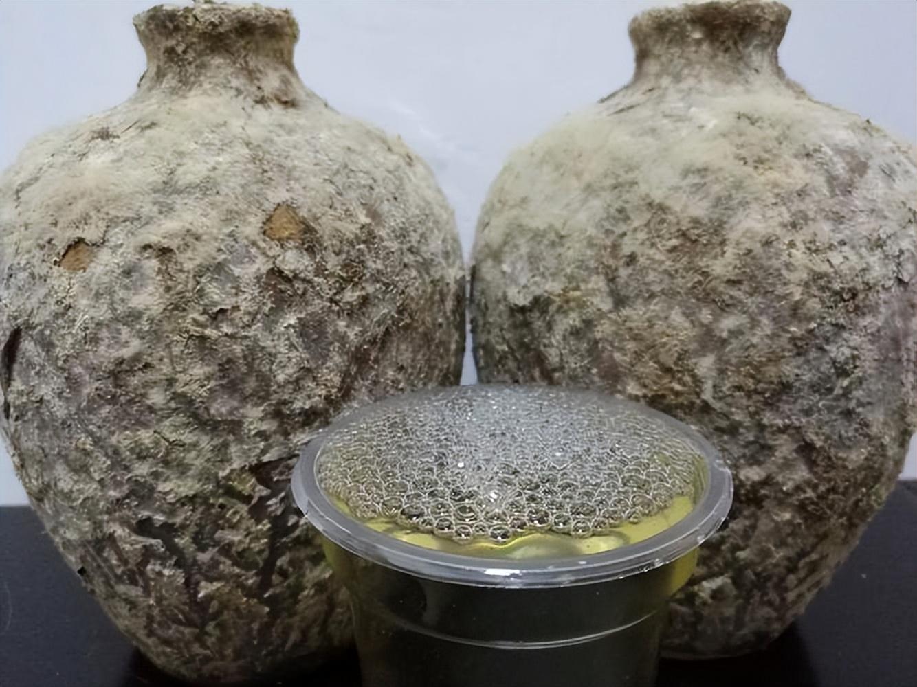 仁懷房屋出售最新信息，科技與家居融合，未來家居新體驗重磅推出