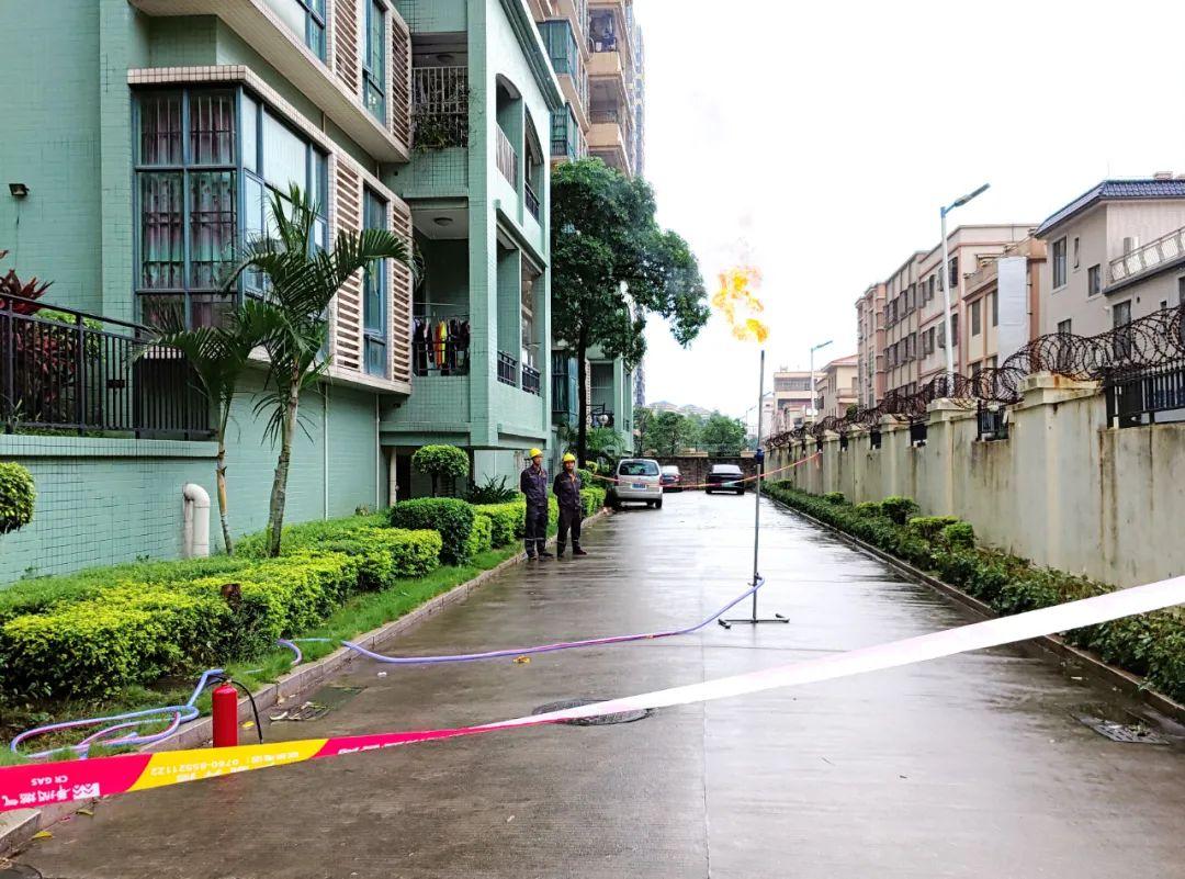 中山東鳳佛奧最新動態(tài)，自然美景的探索之旅，尋找內(nèi)心平和與寧靜