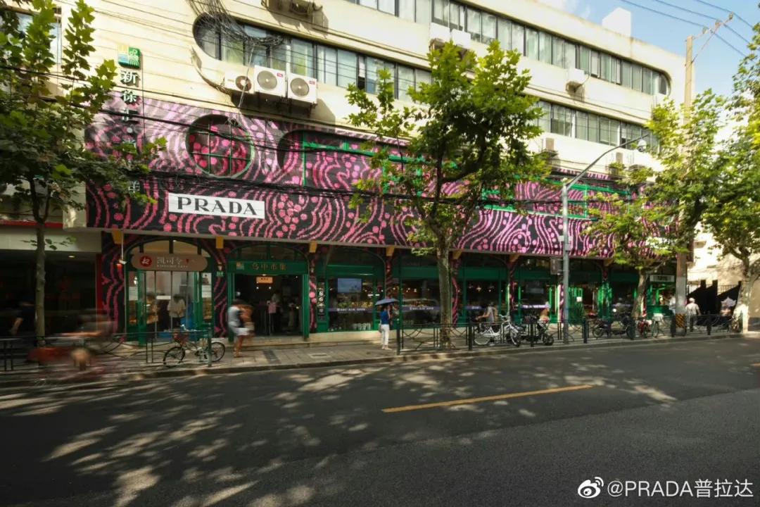 東南坊扦遷最新動態(tài)，變化中的學(xué)習(xí)之旅，成就感的源泉