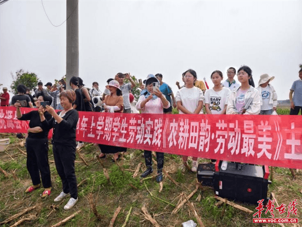 桃源木塘垸鄉(xiāng)新動(dòng)態(tài)，趣事連連，真摯友情綻放鄉(xiāng)間