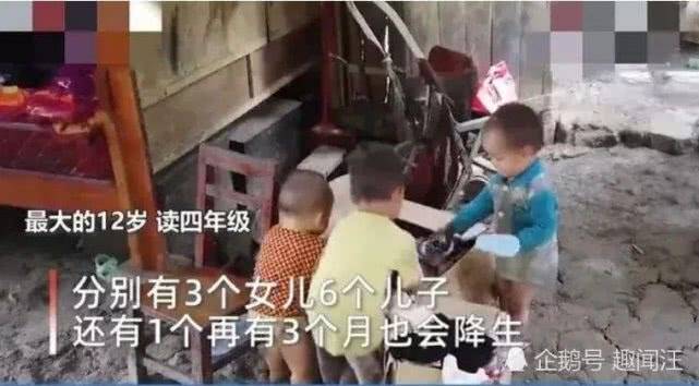 廣西最新預(yù)情，自然美景探索之旅，喚醒內(nèi)心平靜之旅