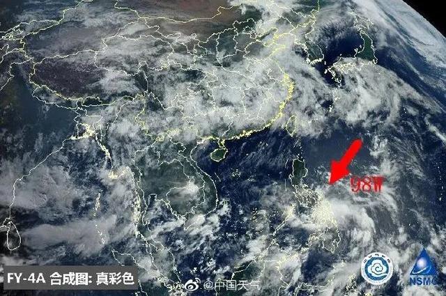 臺(tái)風(fēng)鸚鵡的最新動(dòng)態(tài)，逆風(fēng)翱翔的力量與學(xué)習(xí)魅力