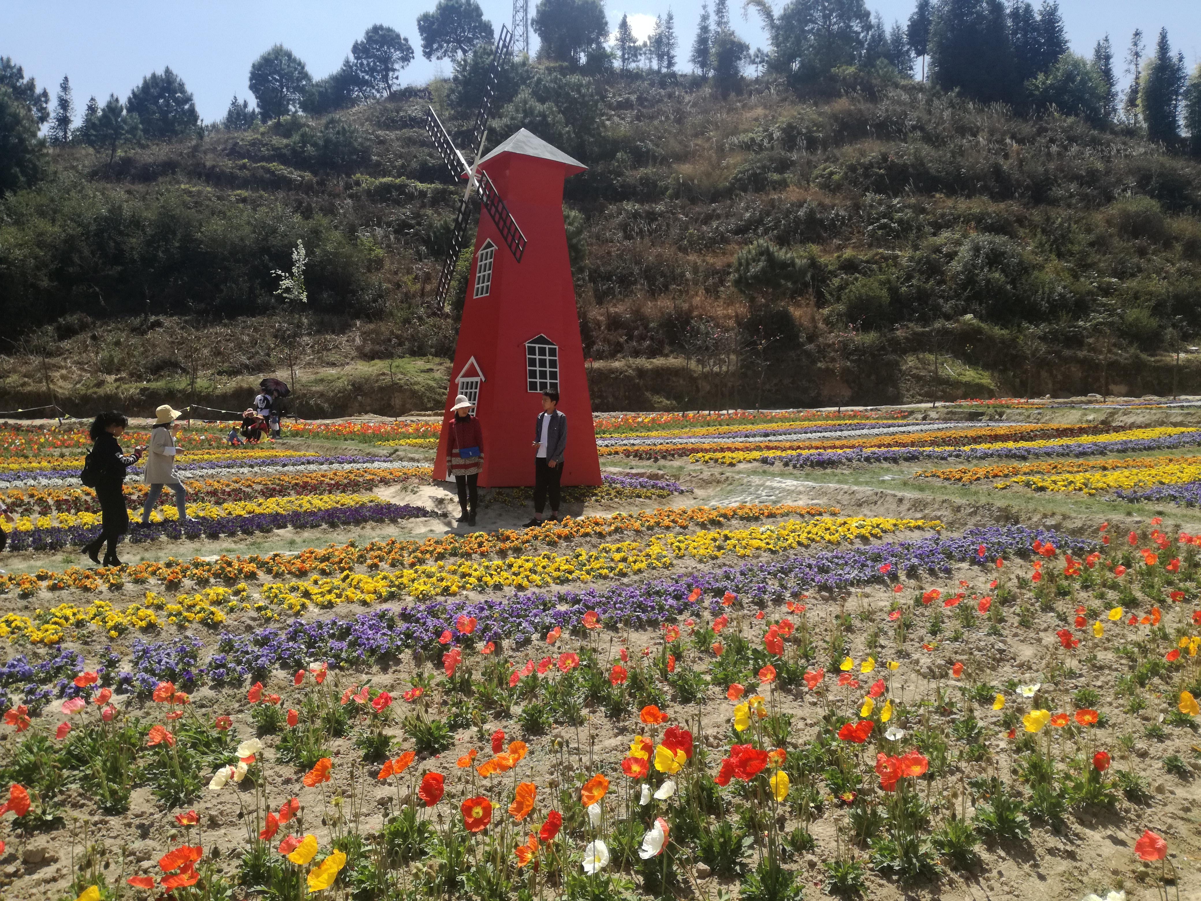 臨滄市最新探索，自然美景之旅，尋找內心平和的旅程