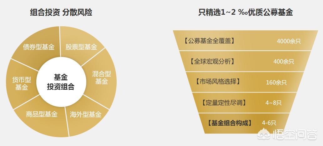 深度解析，今年養(yǎng)雞產(chǎn)業(yè)趨勢(shì)與前景展望