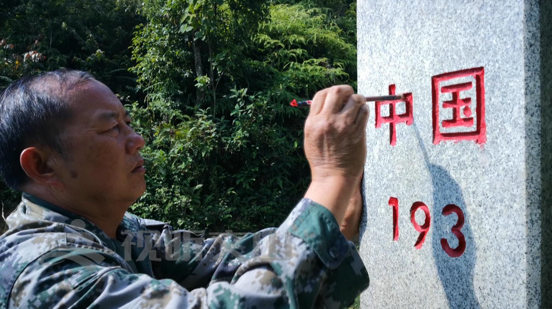 文山黃牛打架比賽，傳統(tǒng)與爭(zhēng)議的碰撞