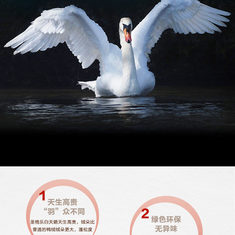 探索小巷羽絨寶藏，90白鵝絨價(jià)格與溫暖故事