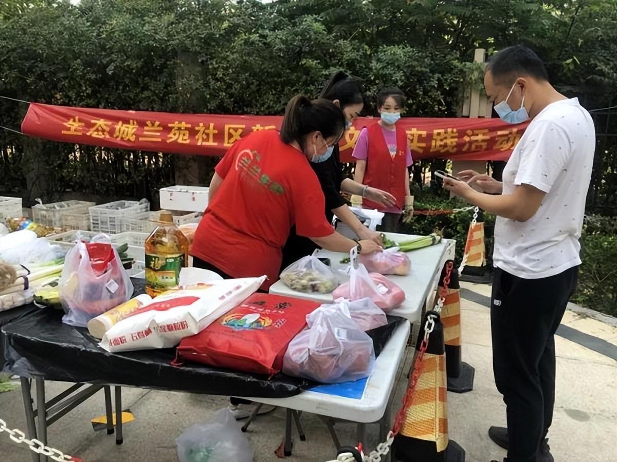 保利華潤紫云價(jià)格深度解析，探尋背后的故事與地位影響