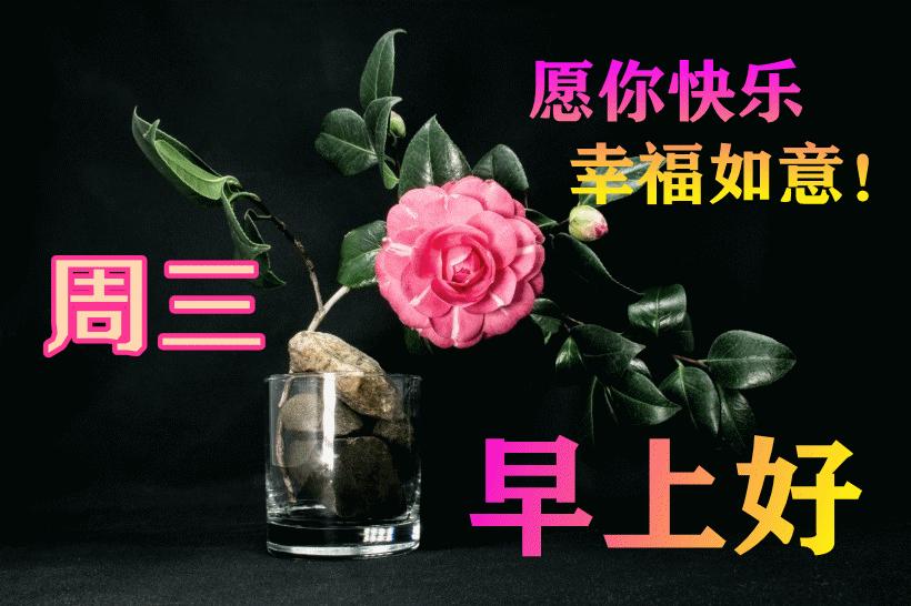 最新早晨問候動態(tài)表情包，溫馨問候，從表情開始！