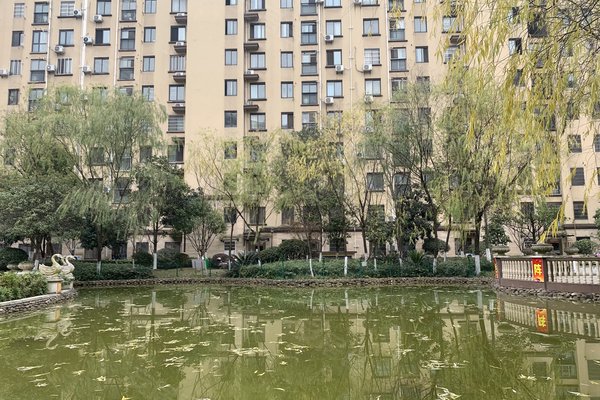 中豪明珠城最新價(jià)格，時(shí)代印記與城市的脈動(dòng)