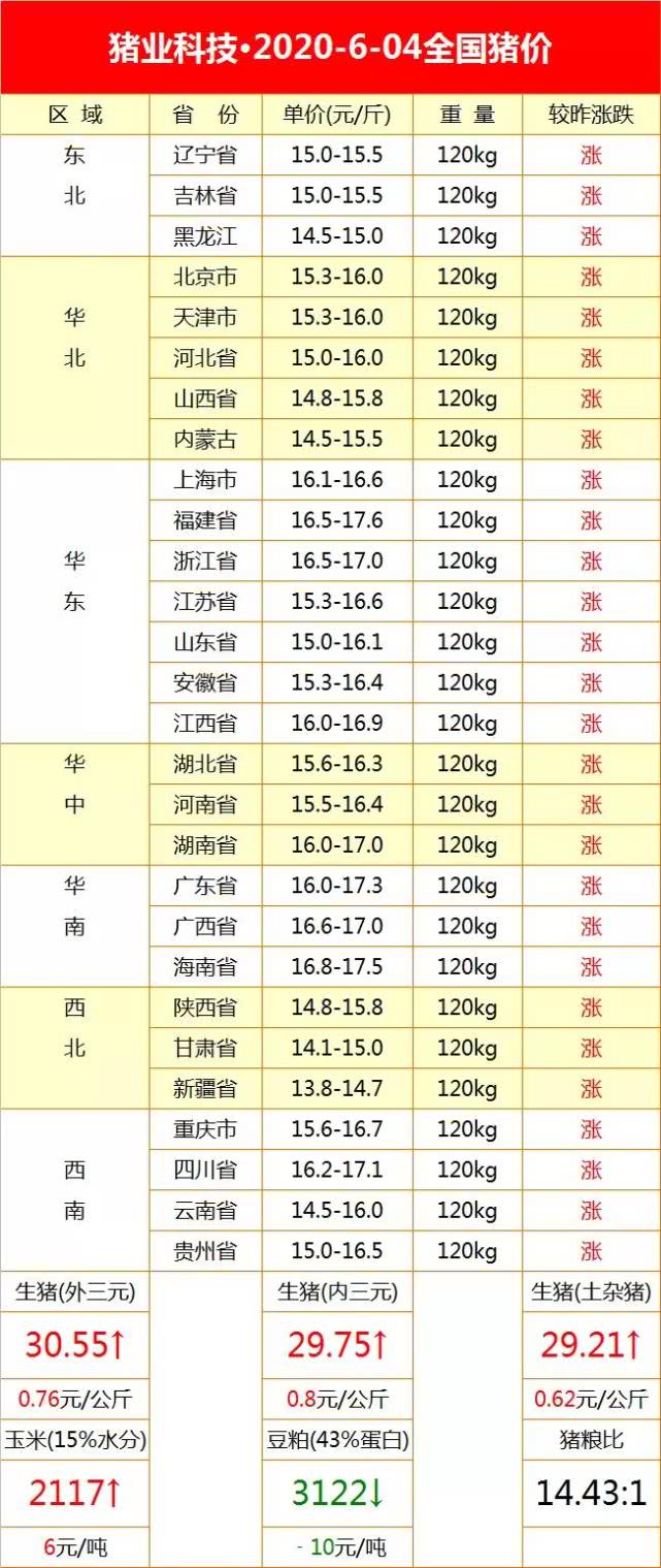 全國(guó)最新生豬價(jià)格今日豬價(jià)走勢(shì)，詳細(xì)步驟指南