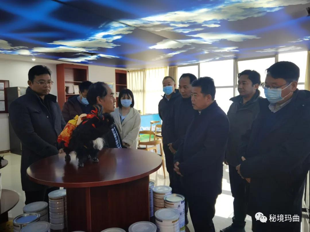 高原之寶上市，學(xué)習(xí)、蛻變與自信的輝煌之旅