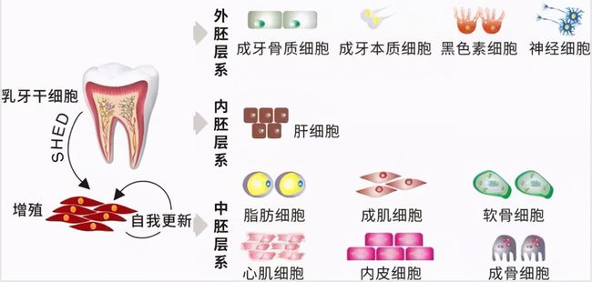 廣場燈具 第189頁