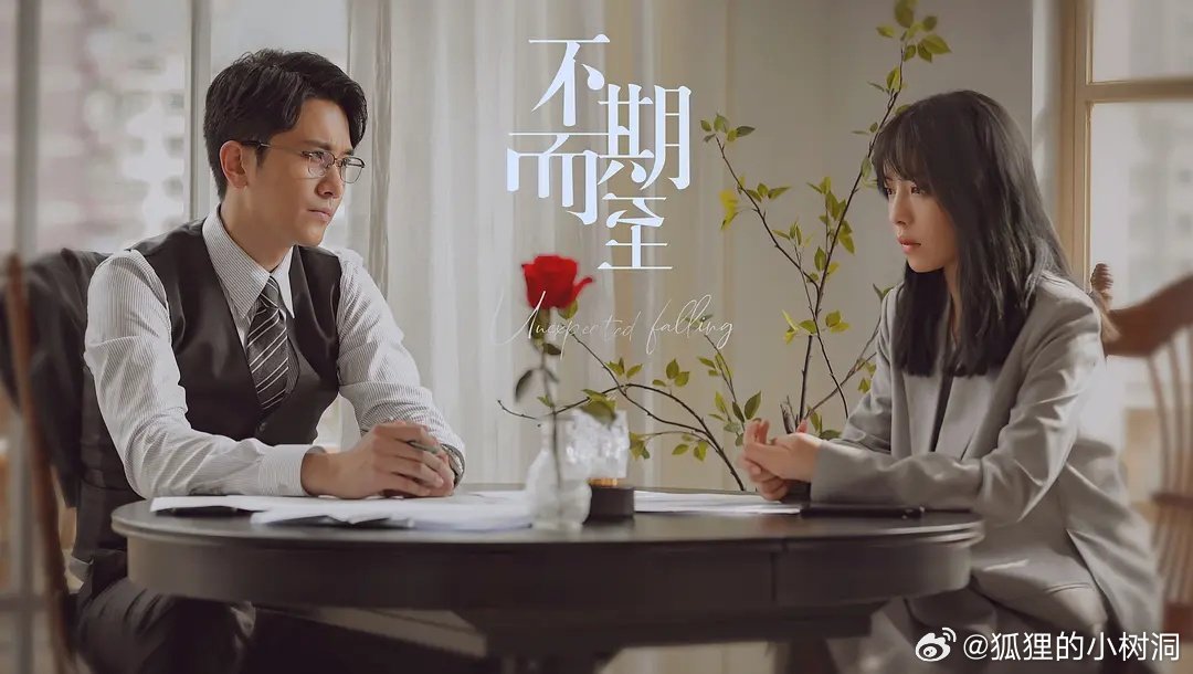 不期而至電視劇，從入門到進(jìn)階的觀看指南