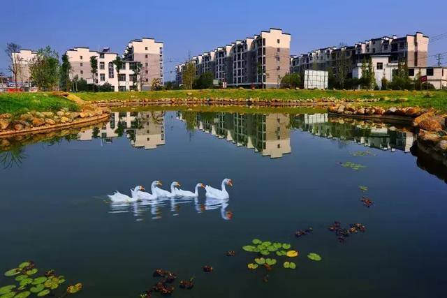 萍鄉(xiāng)安源湖，最新動態(tài)揭示湖畔變革與自我超越之旅