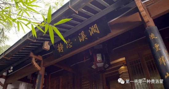 高密西湖茶樓最新資訊，一壺茶，品味溫情時(shí)光