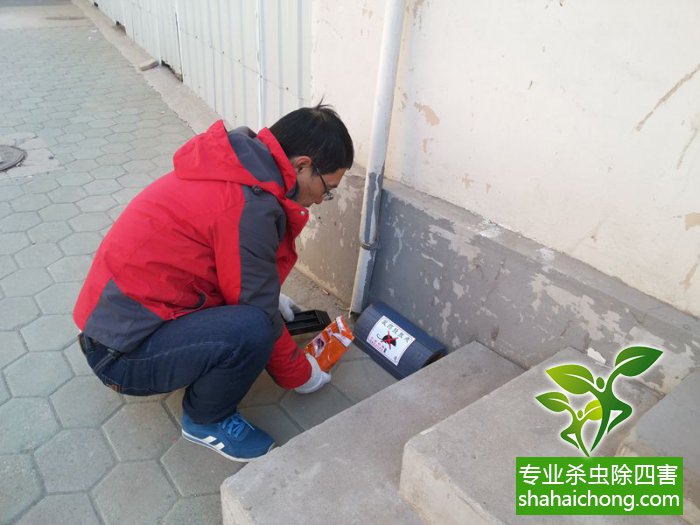 最新滅鼠技術(shù)的觀點論述與立場闡述，創(chuàng)新方法的探索與挑戰(zhàn)