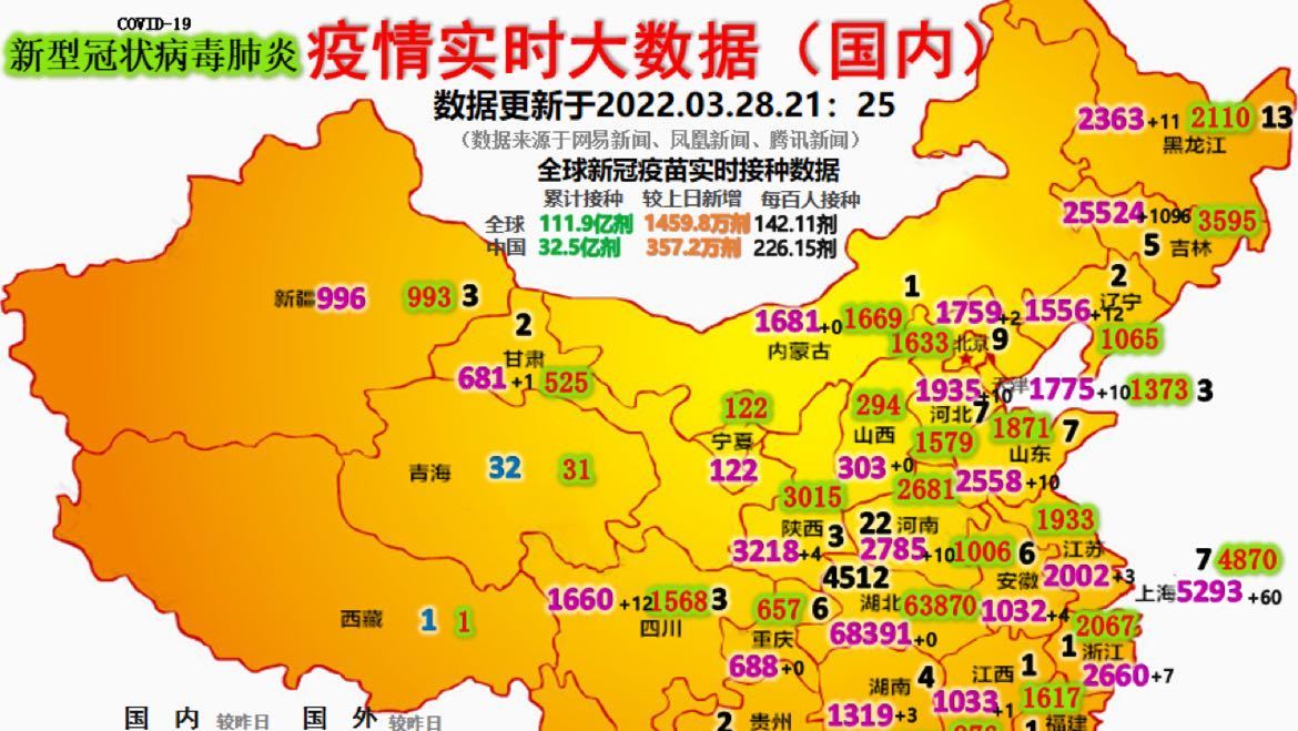 最新疫情動態(tài)詳解，初學(xué)者與進(jìn)階用戶的步驟指南