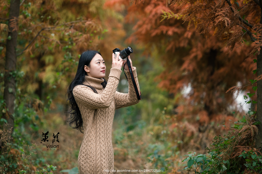 伊人在線電影，探索現(xiàn)代網(wǎng)絡(luò)影視的新境界