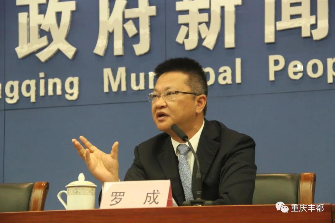 豐都新聞快訊，日常溫情與陪伴的瞬間