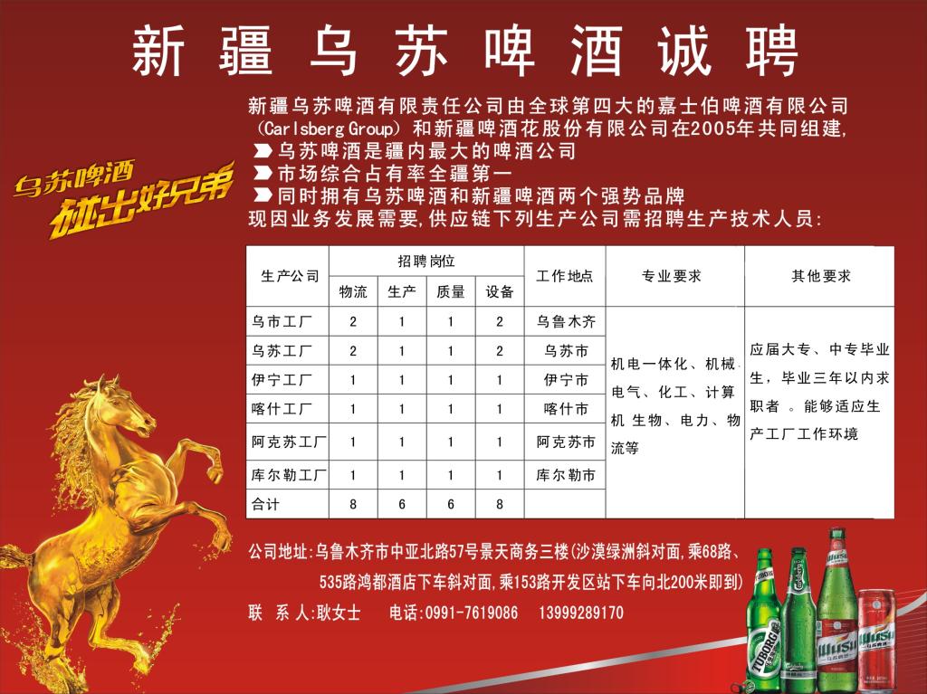 烏蘇政府最新招聘公告，應聘指南全解析