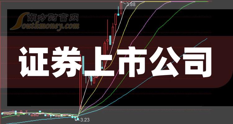 科技巨頭引領下的全新視界，股票上市公司概覽