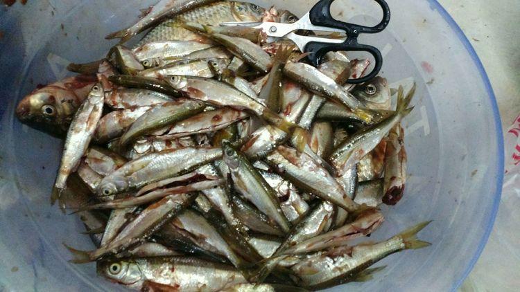 昆明最新野釣地點(diǎn)探索，重拾生活激情與自信的自然之旅