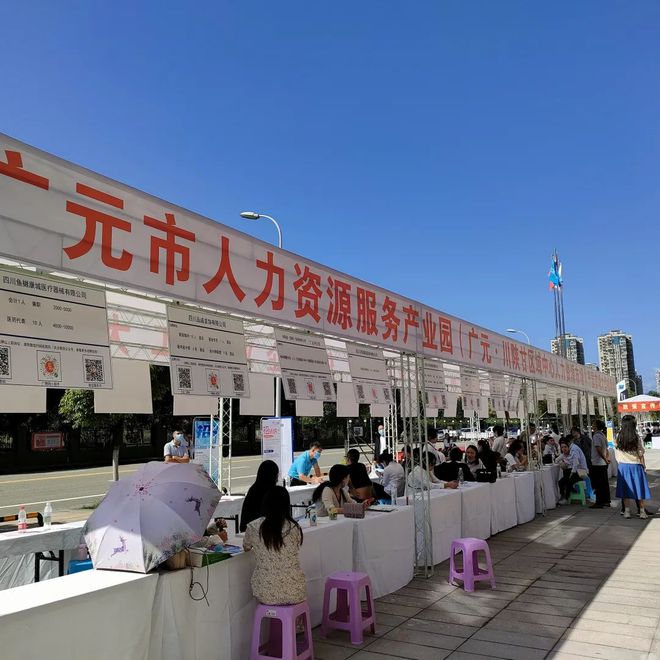廣元最新招聘資訊詳解，觀點(diǎn)闡述與解析