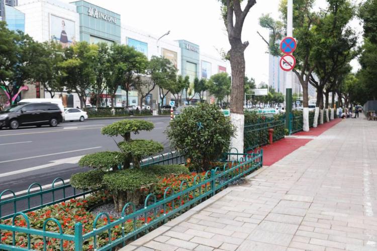濰坊市奎文區(qū)改造工程，自然美景的探索之旅