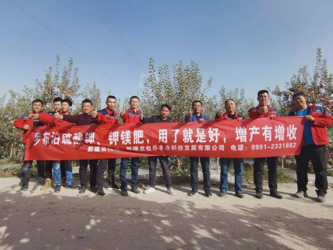 新疆國(guó)投羅鉀最新動(dòng)態(tài)，全面指南與最新發(fā)展概述