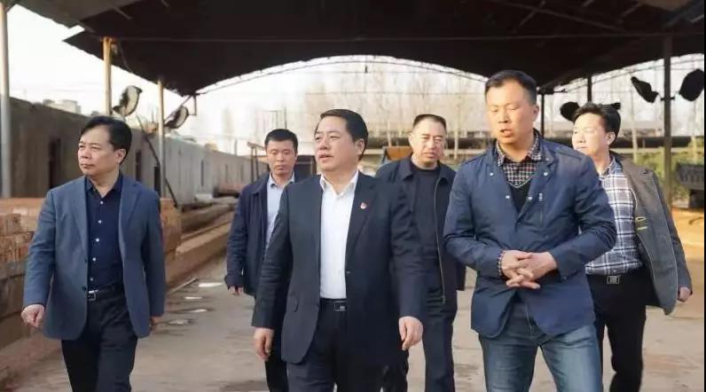 商丘王仲田最新動態(tài)，探索自然美景的旅行，尋求內(nèi)心平和之旅