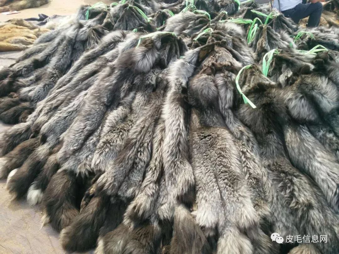 貉皮尚村最新價格，小巷中的時尚皮草寶藏探索