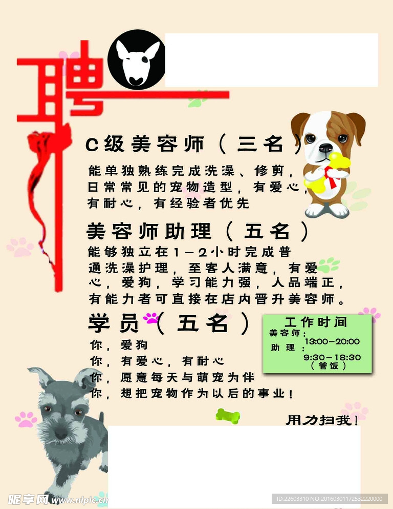 寵物店招聘最新動(dòng)態(tài)，共探自然之美，尋求內(nèi)心寧?kù)o