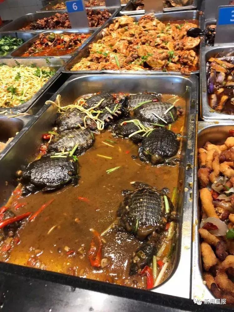 探索食堂美食新潮流，最新食堂菜一覽