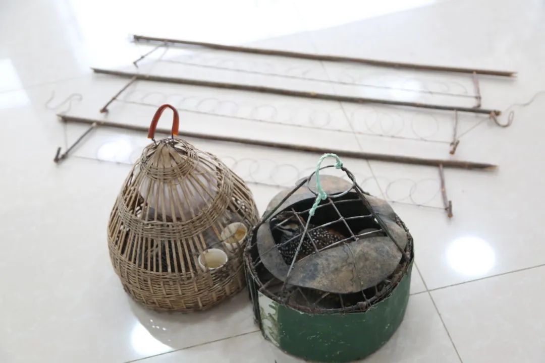 小巷中的神秘寶藏揭秘，最新捕鳥工具揭秘