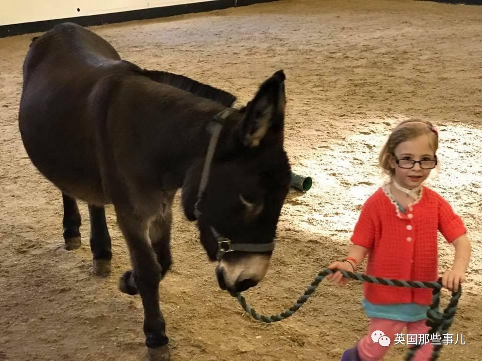 二驢子最新事件揭秘，事件全貌大揭秘！
