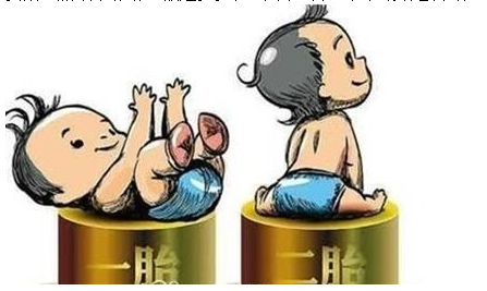 最新雙胞胎補助政策，攜手同行，助力孕育夢想之路