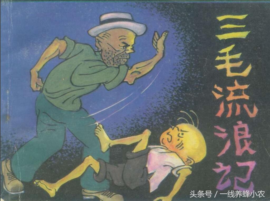 上海三毛最新動(dòng)態(tài)，自然美景探索之旅啟幕