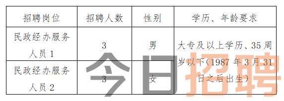 慶陽最新招聘揭秘，小巷中的特色小店，探索未知寶藏的職場之旅
