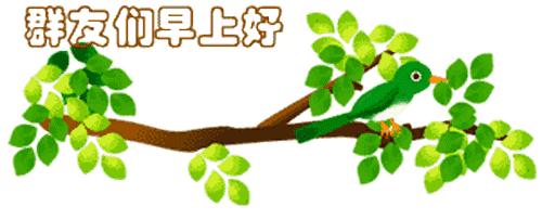 最新清晨祝福短信，晨曦中的溫暖問候，傳遞美好祝愿與關(guān)懷