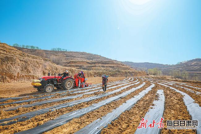 秦安最新新聞，城市溫情日常溫馨小事報(bào)道