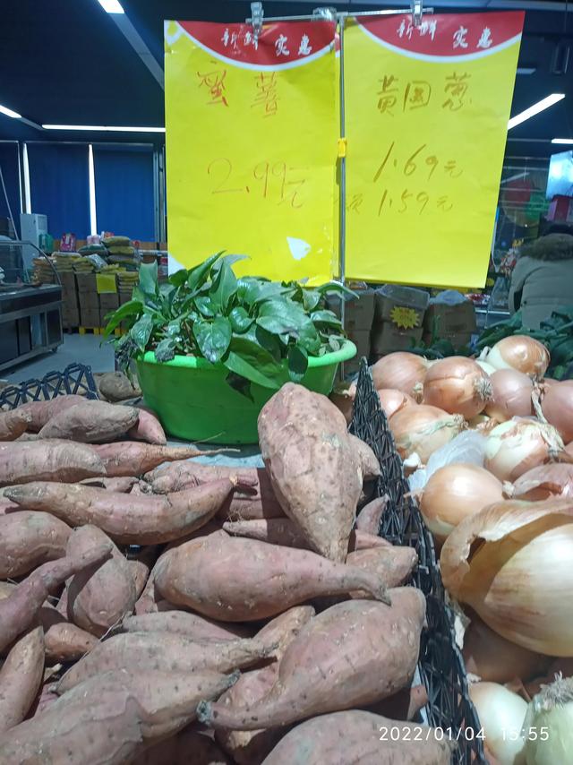 最新地瓜價(jià)格解析，查詢指南與任務(wù)攻略