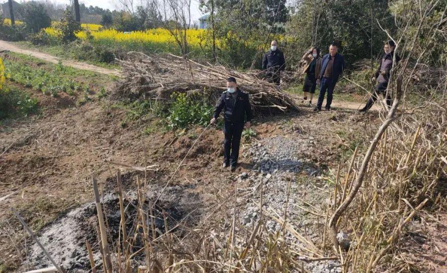 溧陽(yáng)最新天氣，氣象變遷與地域影響探究