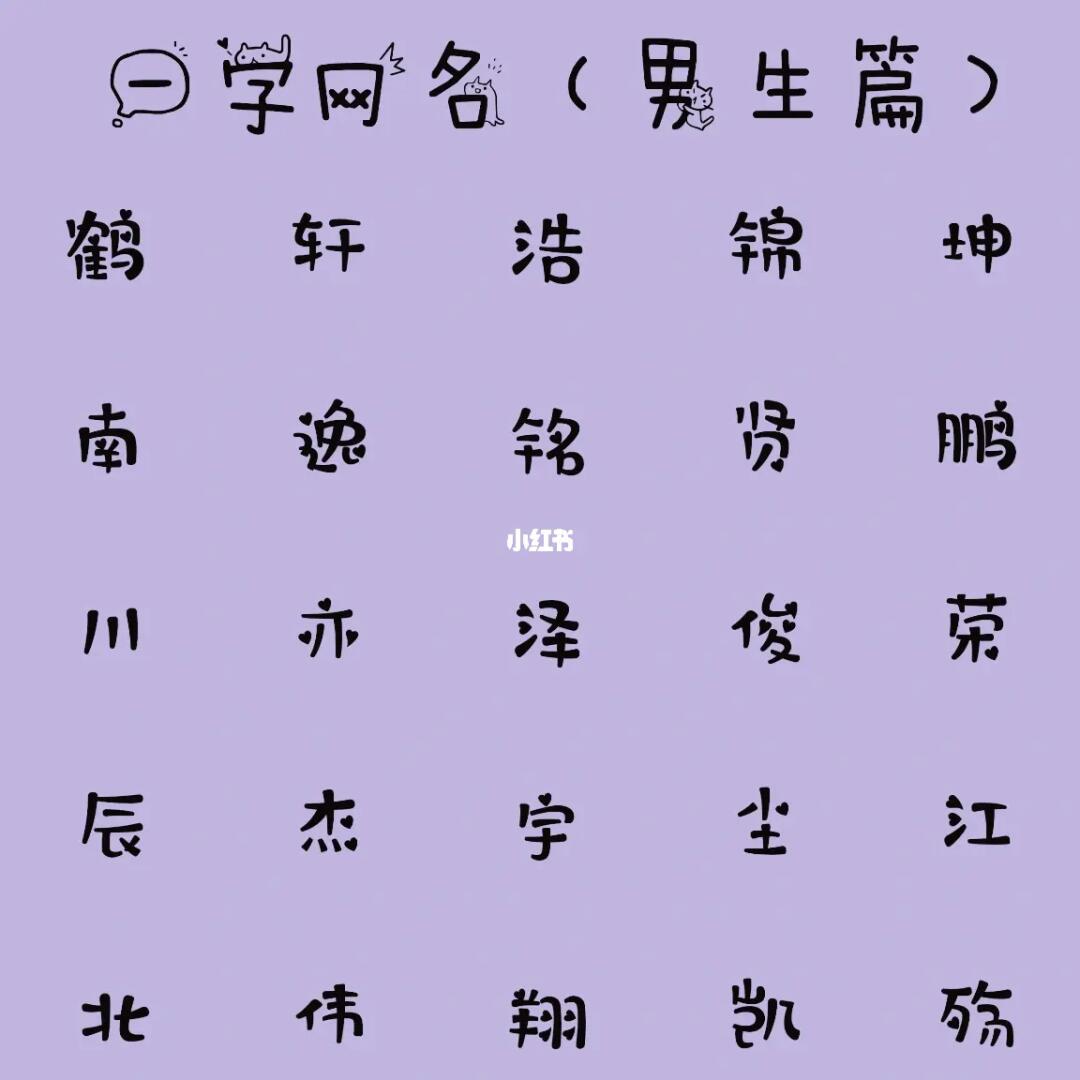 最新男生網(wǎng)名，時(shí)代潮流與虛擬身份的完美融合塑造