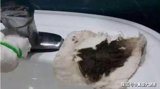 揭秘水污染真相，小杰的河流探索之旅——溫馨河流的秘密揭秘視頻